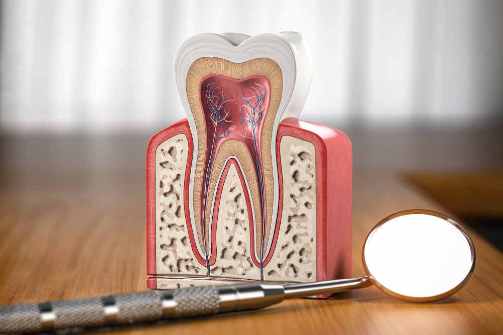 Best Root Canal Doctor